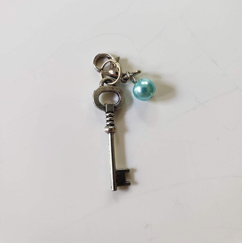 💙2 Origami owl charms